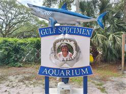 Gulf Specimen Aquarium